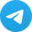 Telegram 绿色纸飞机 Logo